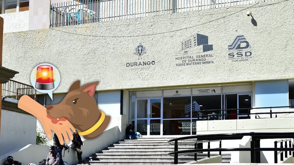 Niño de 5 años es hospitalizado en el Materno Infantil por mordedura de perro