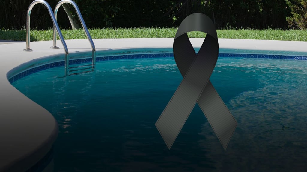 Niño de 2 años muere en su fiesta de cumpleaños tras caer en una alberca