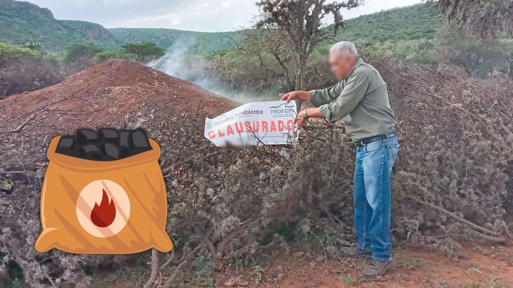 Profepa clausura carbonera clandestina en Guadalupe Victoria tras denuncia ciudadana