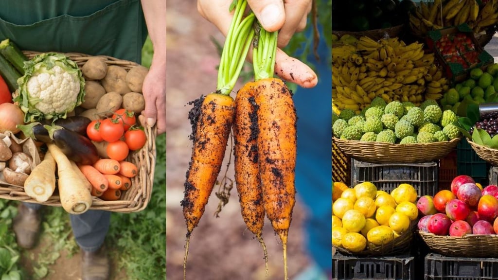 Alimentos orgánicos: ¿por qué consumirlos?, te damos algunas razones