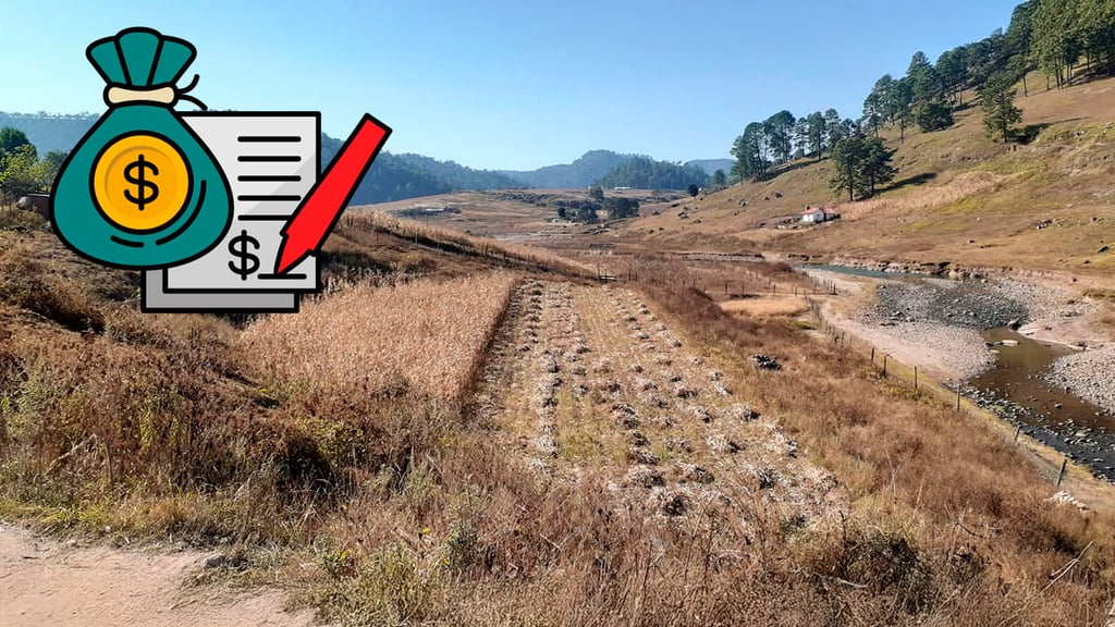 Dejan deuda millonaria a comuneros de la sierra de Durango