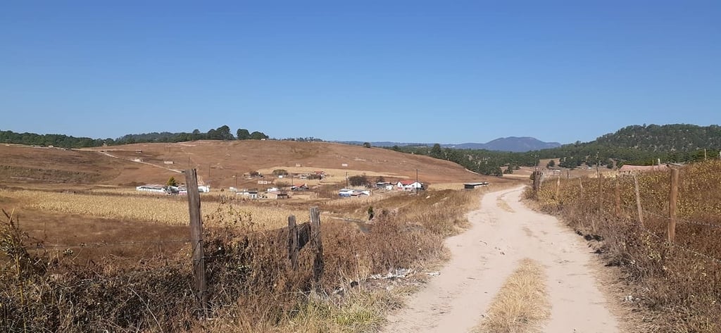Habitantes. Entre la comunidad de Santa María de Ocotán y sus anexos viven unas 20 mil personas.