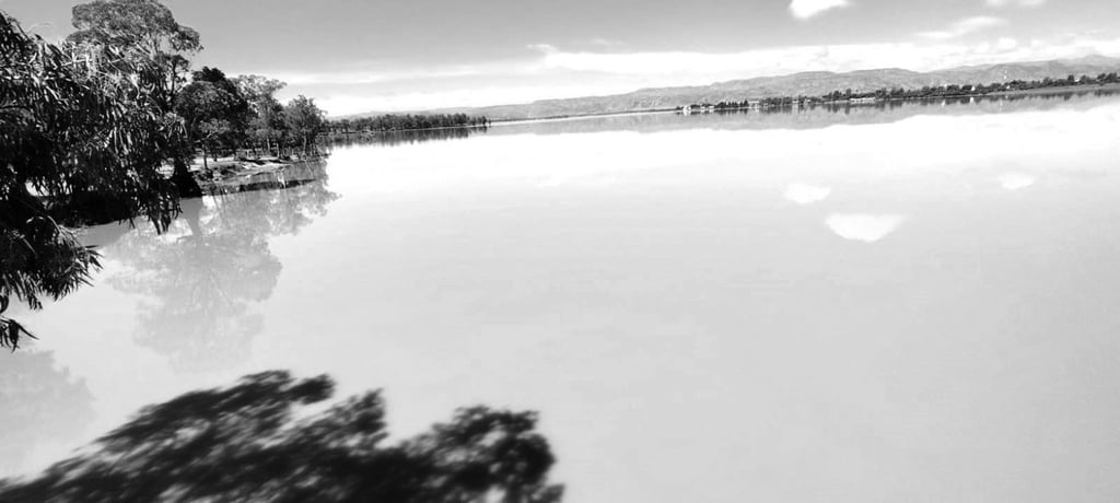 Nivel. Dos presas están llenas y tres están por debajo del 50 por ciento de su almacenamiento en el estado.