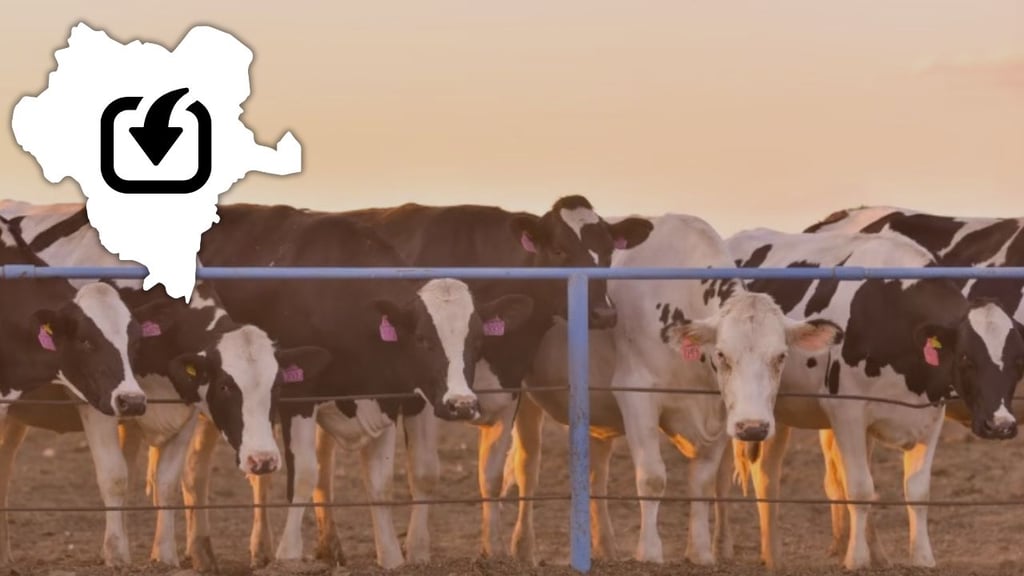 UGRD: Carne importada de Sudamérica es de baja calidad