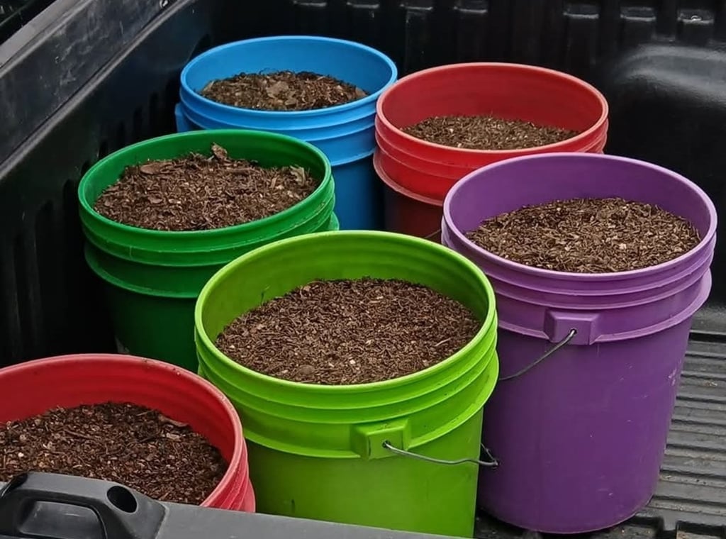 Composta. Se van aplicando capas de residuos verdes y hojas, una a una hasta llegar al tope del recipiente.