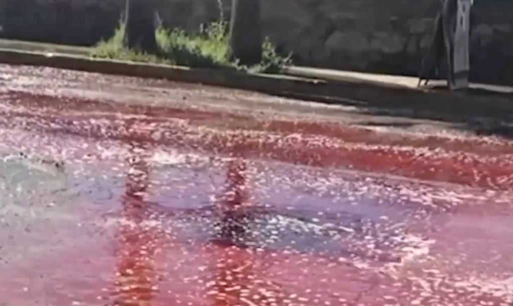 Evidencia. Este fue el charco que se difundió en redes sociales por el cual se logró dar con el lugar clandestino.