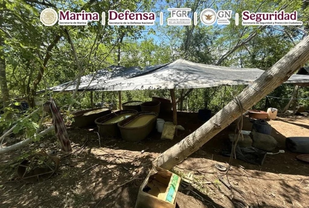 Labor. Autoridades federales localizaron y desmantelaron laboratorios de droga en la sierra duranguense.