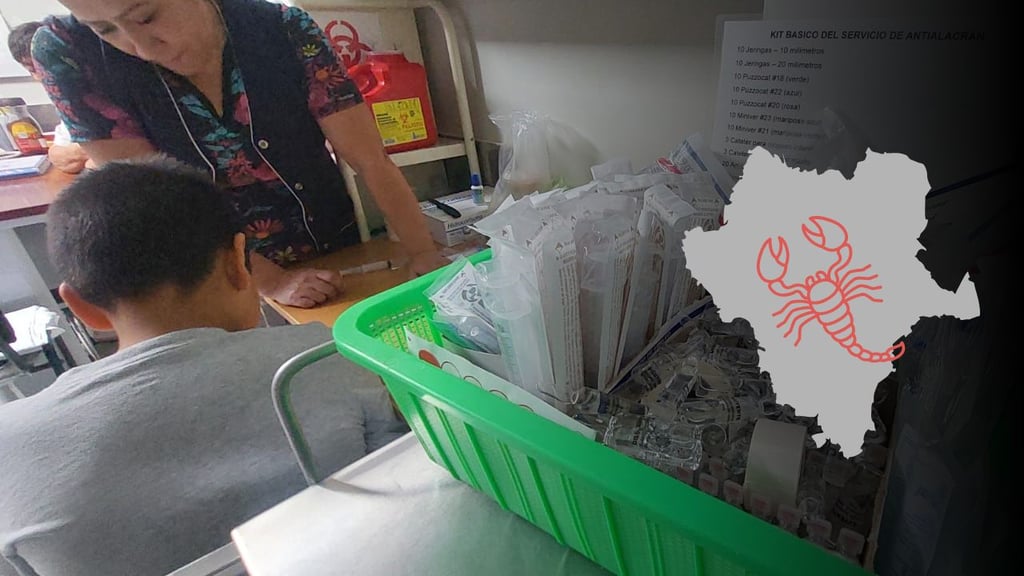 Aumentan picaduras de alacrán durante 2025, en Durango; niegan desabasto de suero