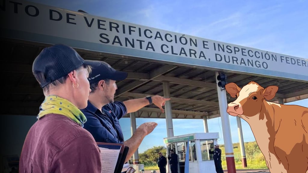 USDA revisa lotes de ganado en Durango