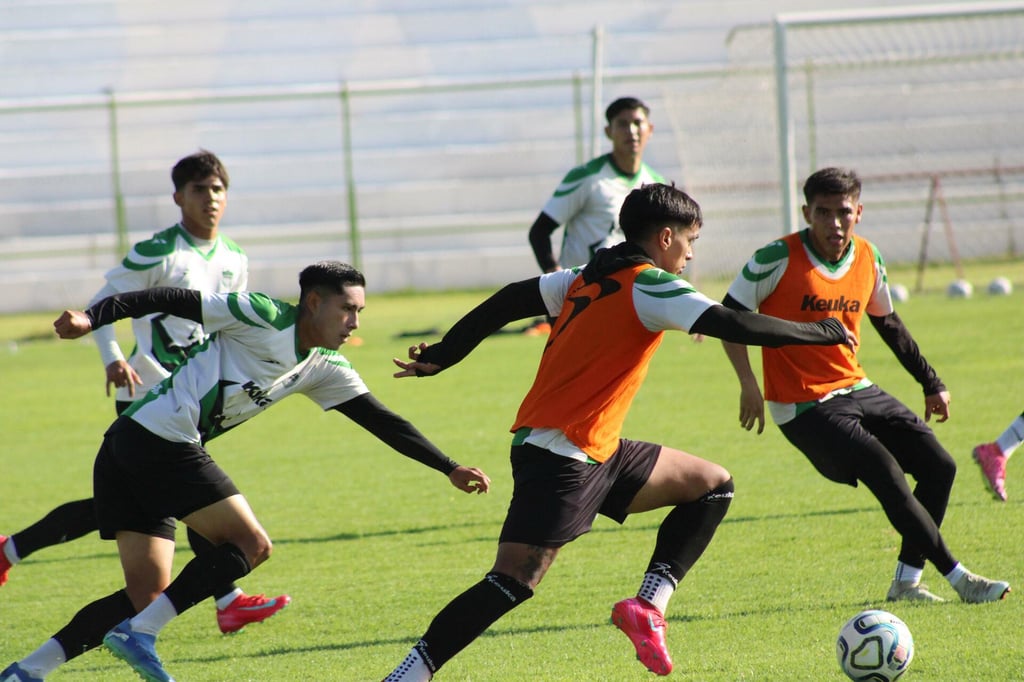 Alacranes de Durango visita a los Tigres de Álica