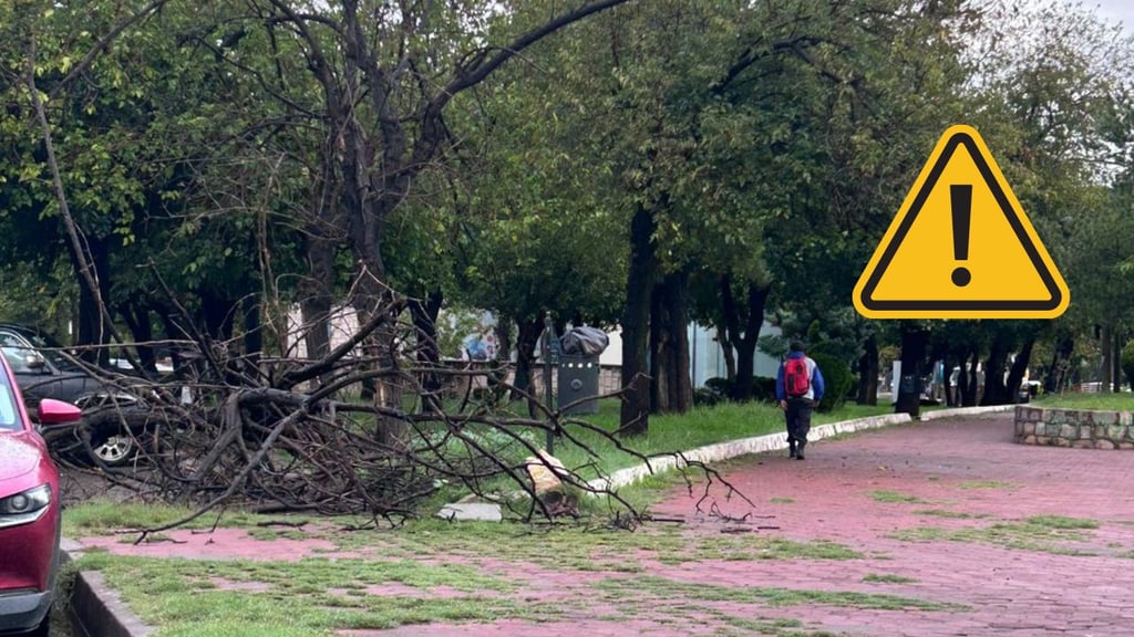 Ramas obstruyen tránsito peatonal en zona de Facultades, en Durango