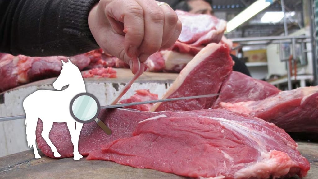 Carne de caballo siempre se ha vendido en Durango: así puedes identificarla