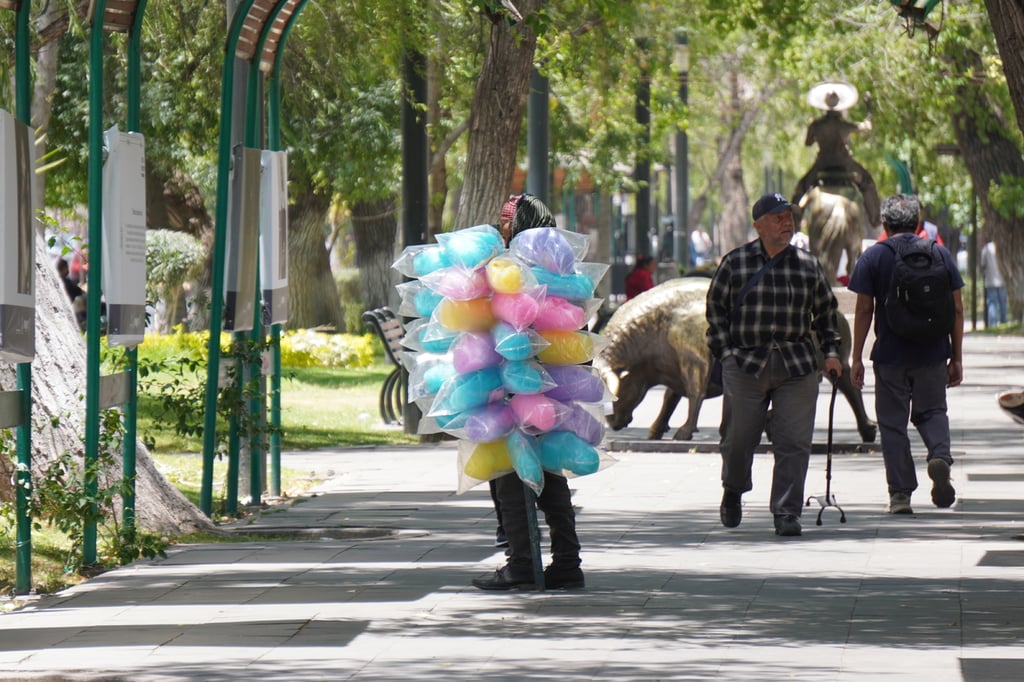 Orden. La nueva Comisión de Actividades Económicas continuará sin emitir nuevos permisos en el Centro.