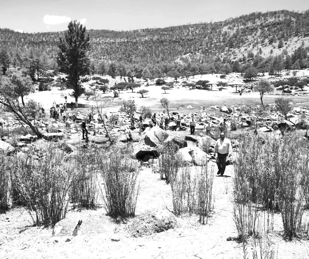 Condición. Se pedirá a los constructores que participen ser formales y cumplir requisitos.