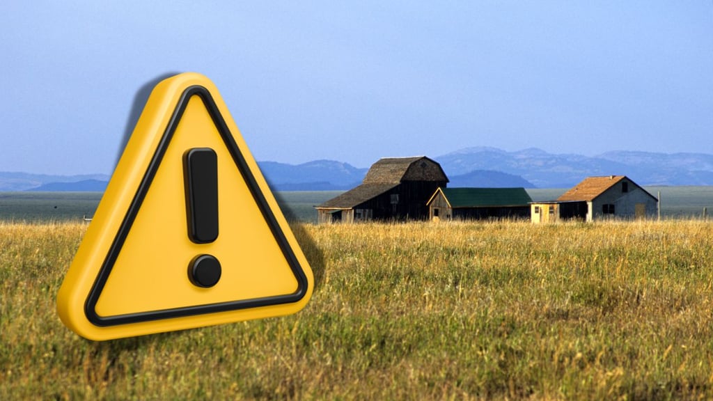 Catean rancho donde secuestraban a personas y encuentran una familia de leones