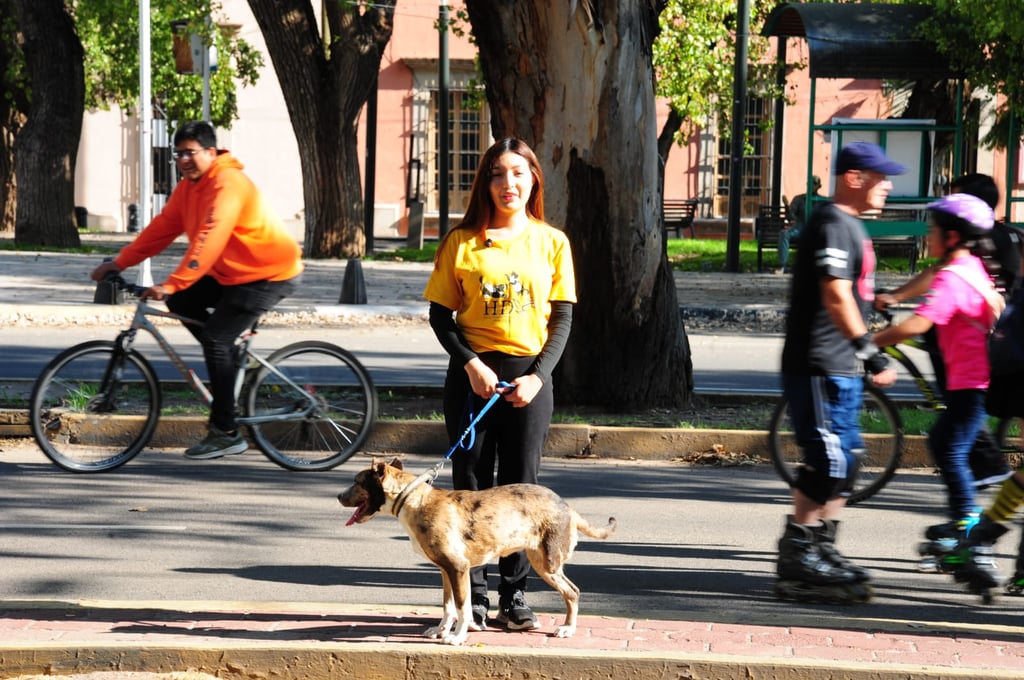 Proponen domingos recreativos en las Alamedas