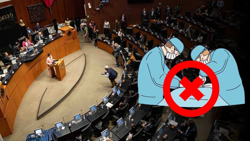 Caso Paloma Nicole: buscarán en el Senado prohibir cirugías plásticas en menores de 21 años