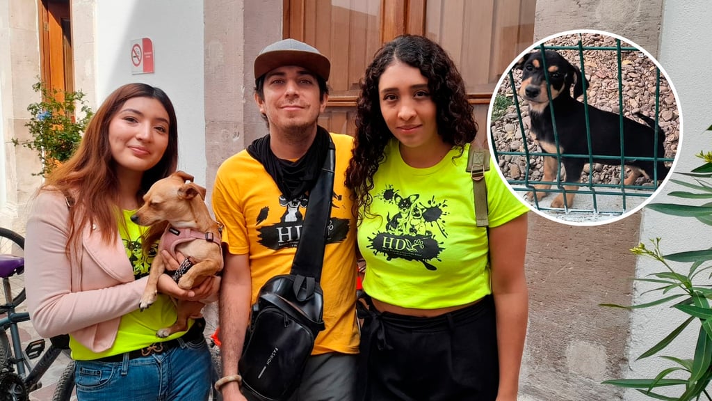 Centro de Adopción Animal en el estado, 'no es lo que se prometió': Huellitas Durango