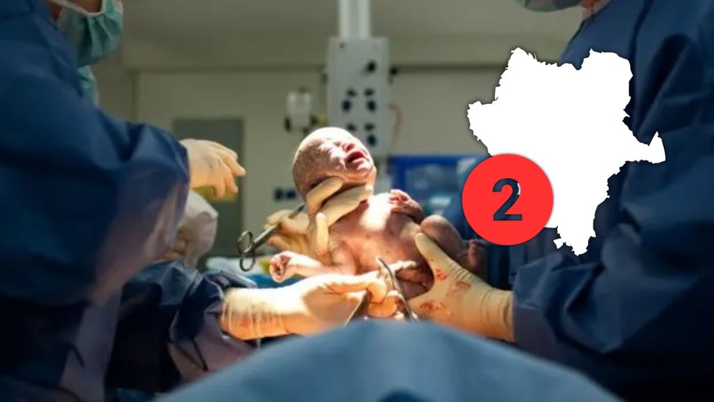 Durango, la segunda entidad con mayor tasa de nacimientos en 2024