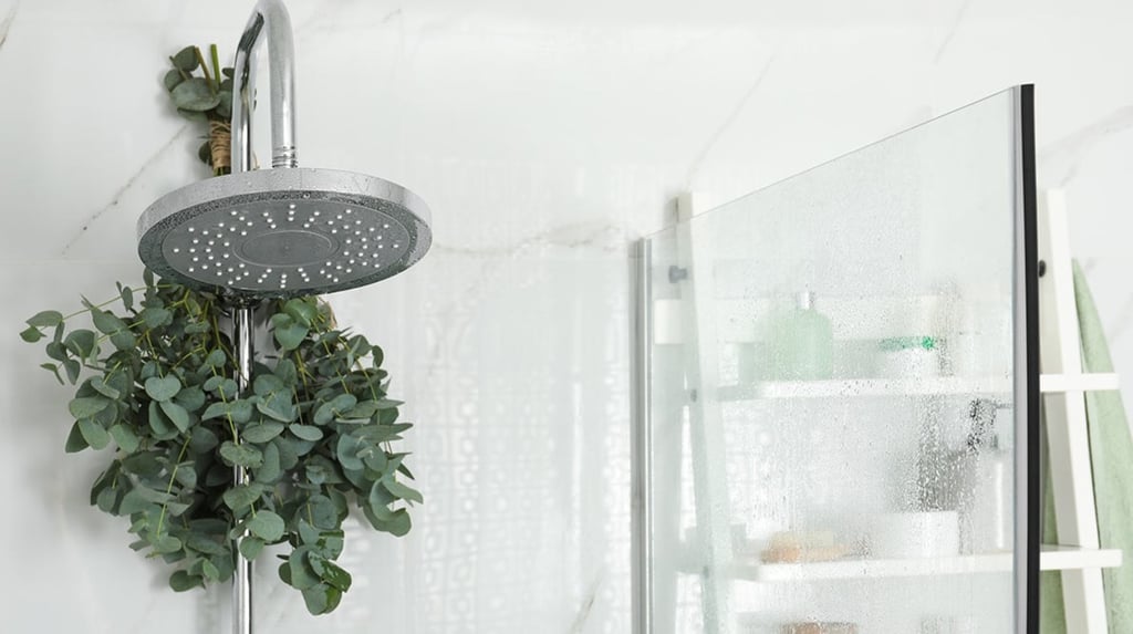 Uso. Una planta o rama de eucalipto bien ubicado, puede ser una estrategia sencilla y elegante para ayudar a 'destapar la nariz'.