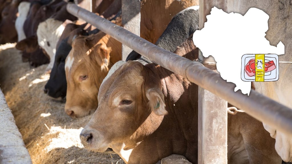 Avanza en Durango el Centro Integral de la Carne, asegura el Secretario de Agricultura
