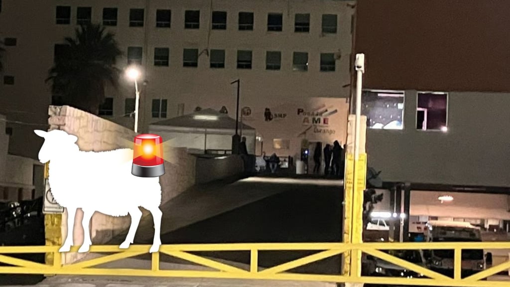 Niña de 5 años resulta lesionada tras ser embestida por un borrego en Mezquital