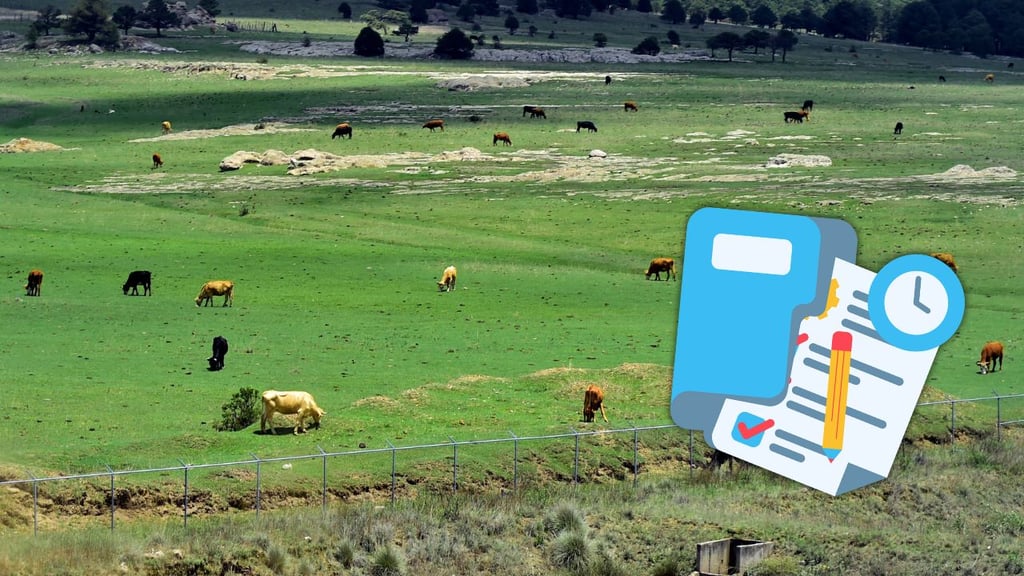 Aseguran que proyecto ejecutivo de Ciudad Pecuaria en Durango debe estar listo en este mes