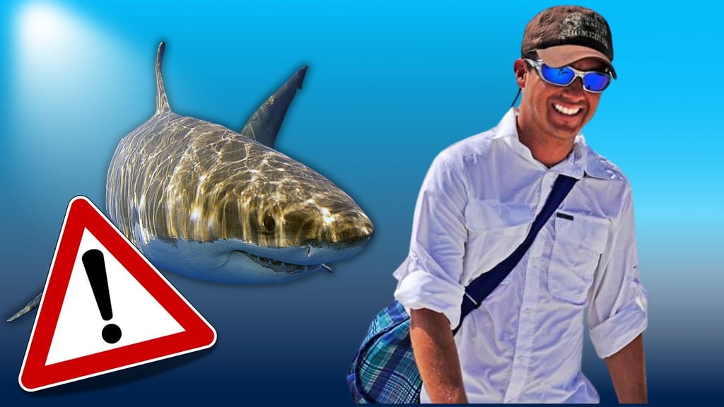 Biólogo mexicano es atacado por un tiburón de 4 metros; le mordió la cabeza y lo reportan grave