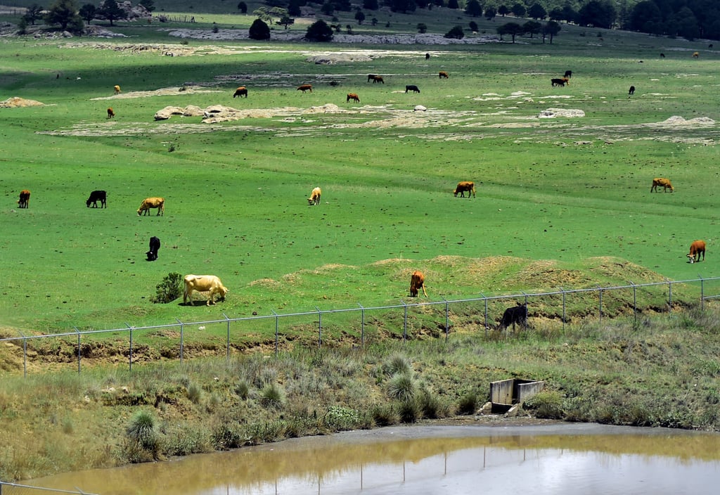 Tiempo. Luego de presentar el proyecto en Ciudad de México, se esperará a que baje el recurso.