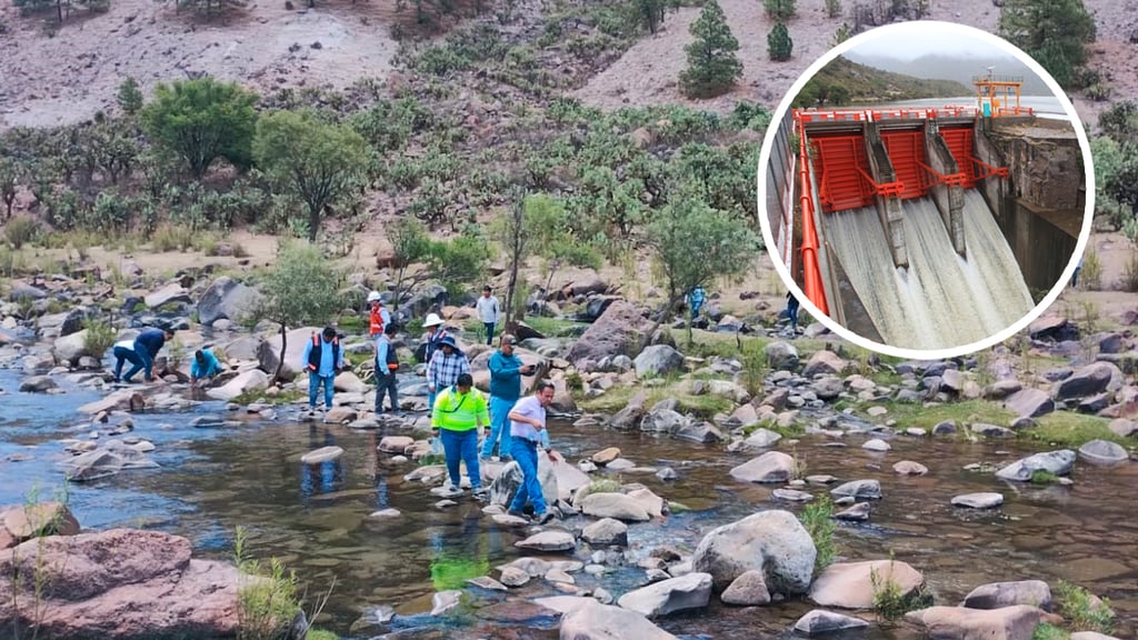 CMIC: aún no inician pláticas para subcontratación en proyecto de Presa Tunal II