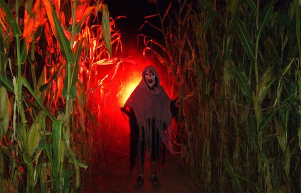 Actividad. Formará parte de la primera edición del Pumpkin Season 2025.