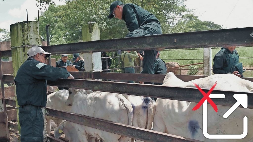 Reapertura en corto tiempo a la exportación de ganado no será fácil: UGRD