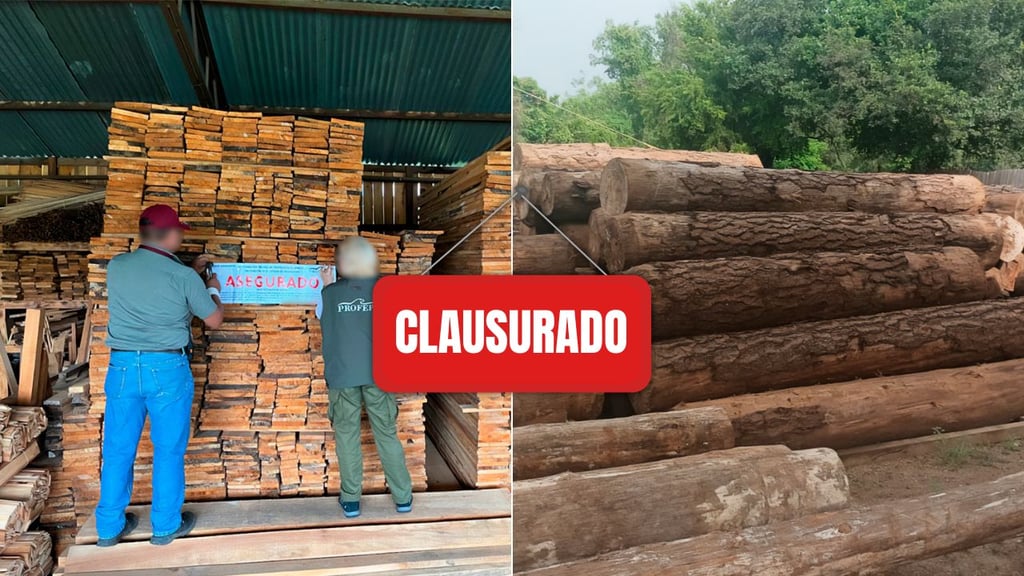 Clausura Profepa tres aserraderos en Durango, por irregularidades