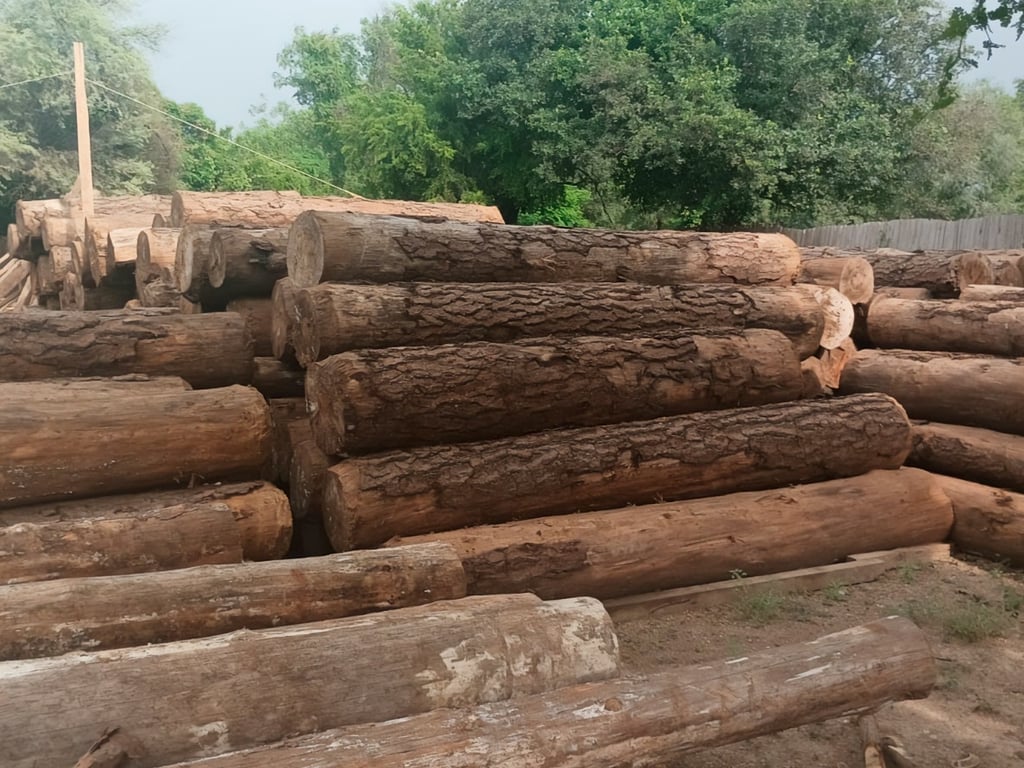 Operativo. El mes pasado se realizó una revisión simultánea en Durango y en las demás entidades.