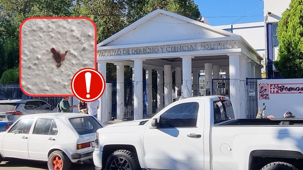 Persiste plaga de chinches en Facultad de Derecho de la UJED; alumnos exigen atender el problema