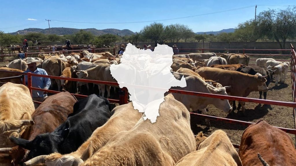 Proponen fortalecer y modernizar el sector ganadero en Durango