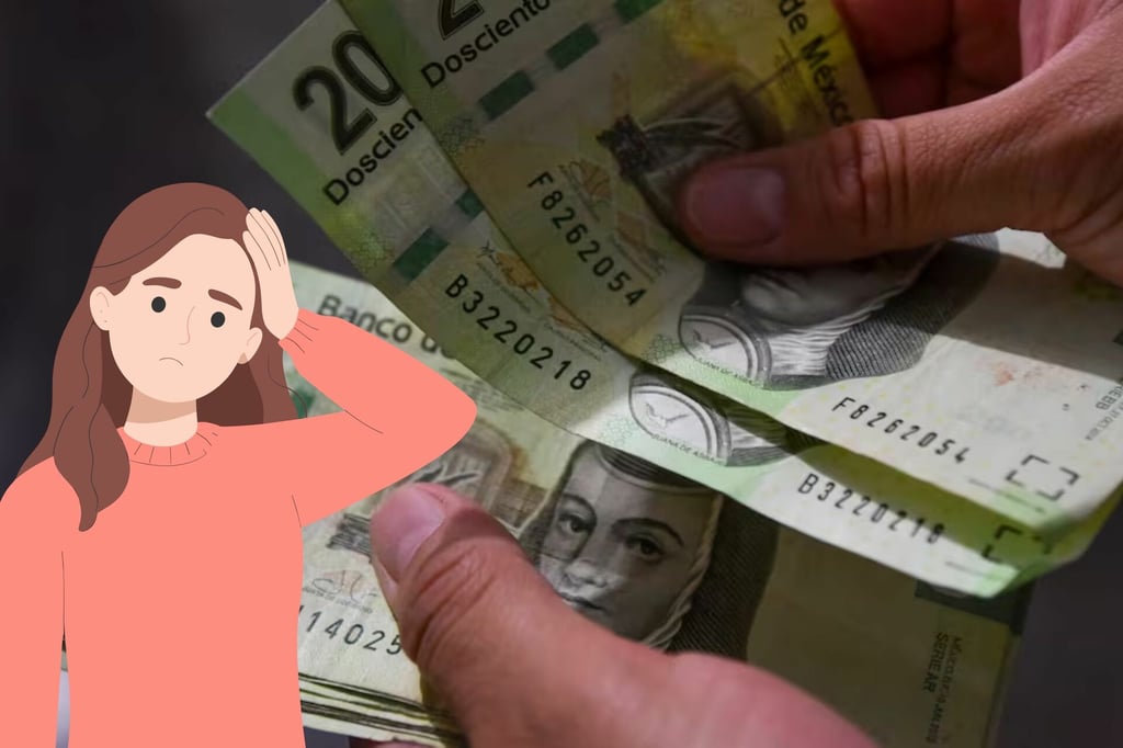 Paquete Económico 2026: los nuevos impuestos que vaciarán tu bolsillo