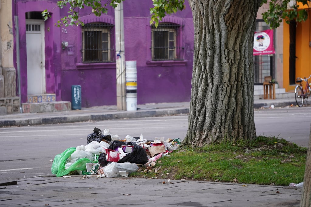 Práctica. Un error que cometen los ciudadanos es sacar la basura antes de tiempo y acumularla en los camellones.
