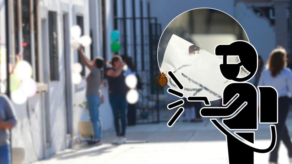 Son 20 escuelas de Durango que han sido fumigadas por chinches; aseguran que en la Fader continúa
