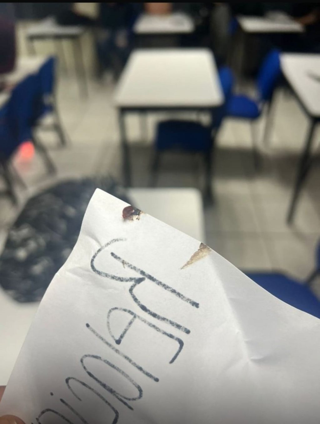 Plaga. Ahora fueron los estudiantes del área de Ciencias Políticas los que señalaron que encontraron chinches en sus salones.