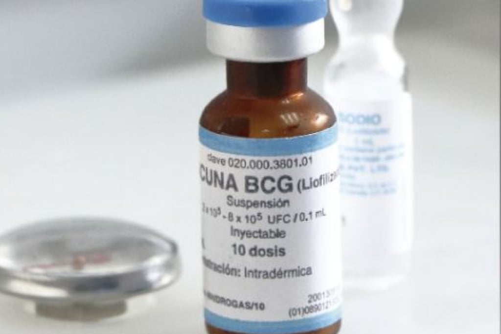 Antecedente. A inicios de este mes, la Secretaría de Salud federal informó que la vacuna BCG había sido liberada.