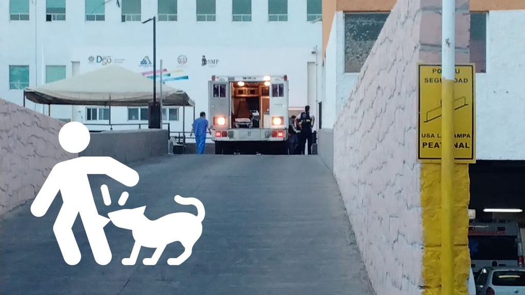 Menor resulta con fractura tras ataque de perro en Santiago Papasquiaro