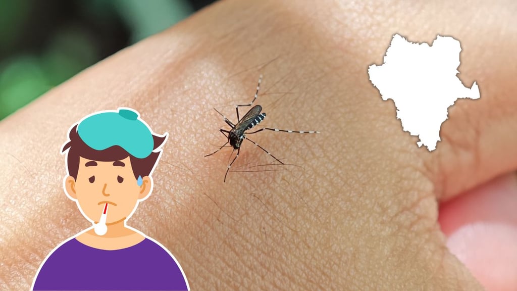 Van 14 casos de dengue en Durango, en 2025; descartan brote en colonia Juan Lira