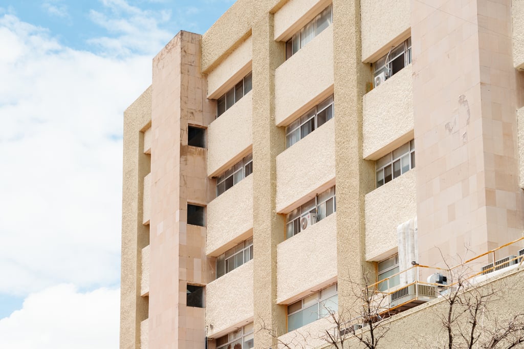Hasta ahora no se ha dado a conocer si el animal pertenece a alguien, o se trata de un perro en situación de calle.
