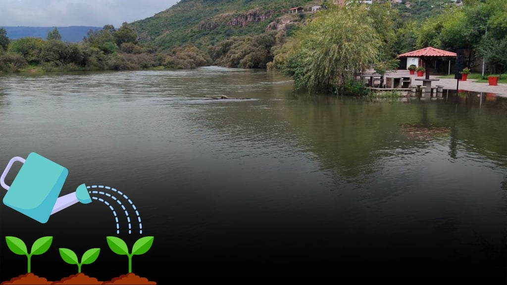 Presa Guadalupe Victoria mantendrá suministro anual de agua para riego