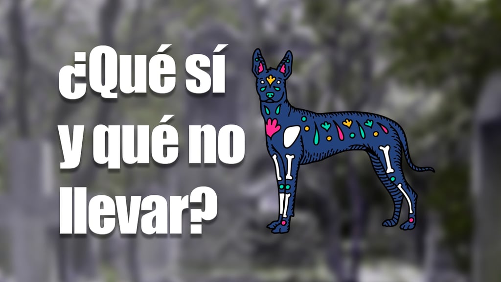 Día de Muertos 2025: ¿qué objetos no debes llevar al panteón y por qué es importante saberlo?