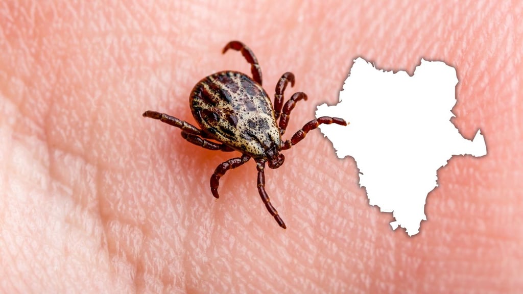 Suman 5 muertes por mordedura de garrapata en Durango, en 2025; investigan un sexto caso