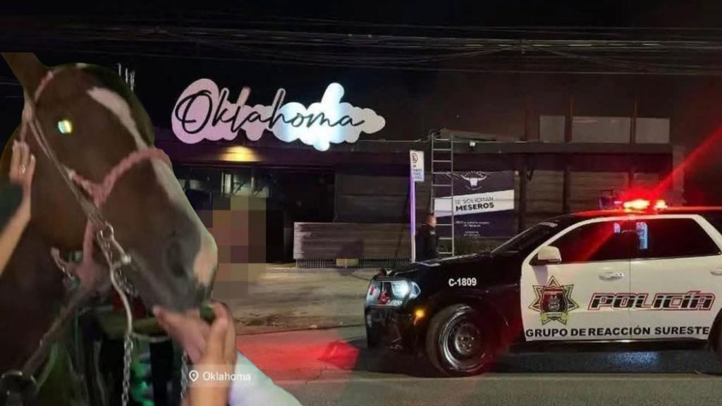 En una bar de Saltillo, le dan de beber alcohol a un caballo; multan al dueño con 1 mdp
