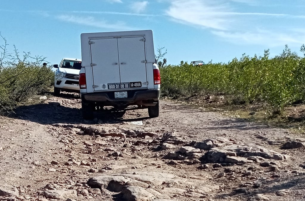 Hecho. En el municipio de Mezquital, en una carretera interestatal fueron encontradas bolsas con restos humanos.