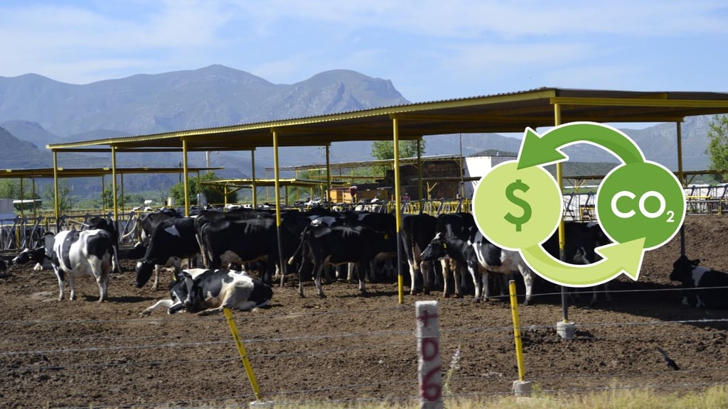 Piden al Senado establecer reglamento para acceder a bonos de carbono